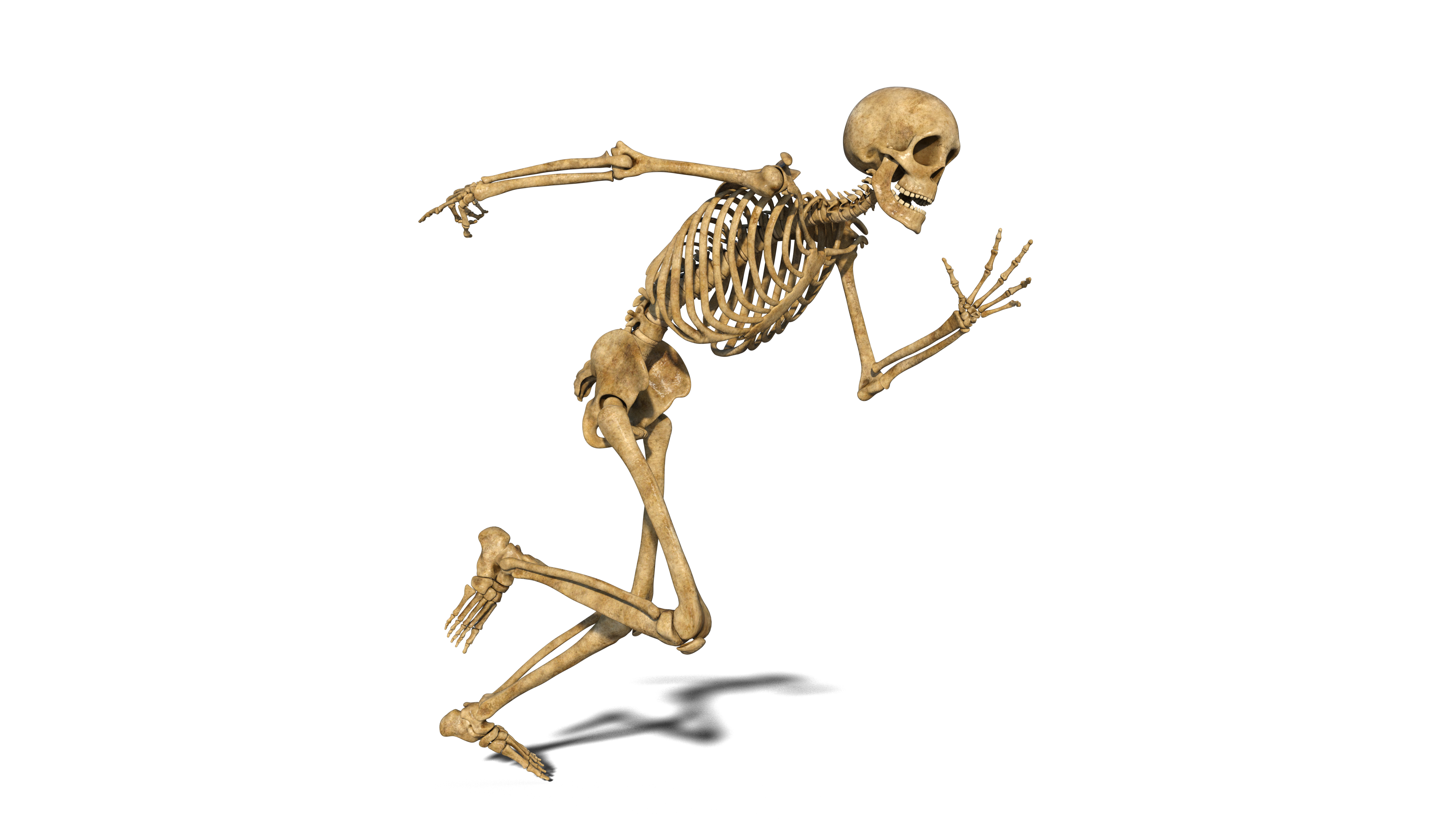 Funny skeleton running, human skeleton exercising on white background, 3D render
